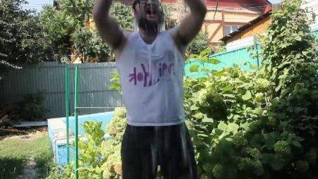 Пакс бросает ледяной вызов «Ice Bucket Challenge»