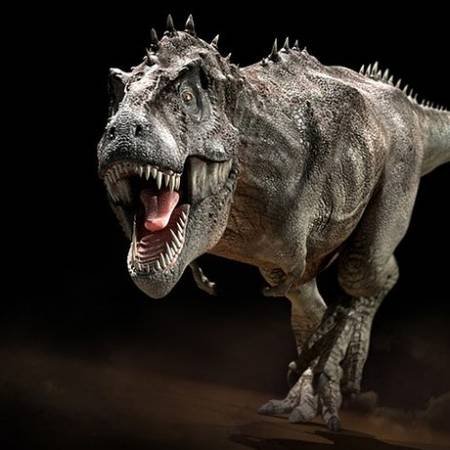 Адиль выиграл $3K в турнире Тиранозавр