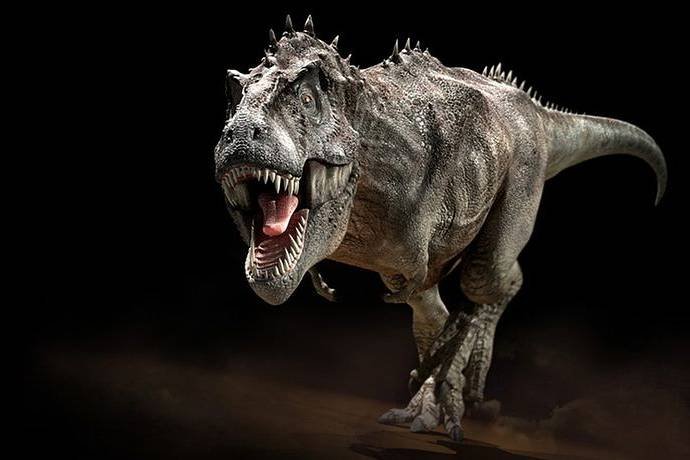 Адиль выиграл $3K в турнире Тиранозавр