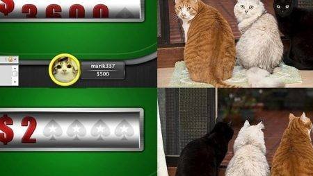 Воскресный покерный юмор. Выпуск #16