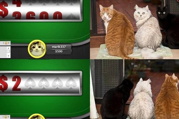 Воскресный покерный юмор. Выпуск #16