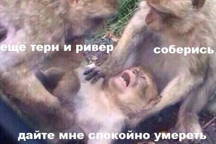 Воскресный покерный юмор. Выпуск #17