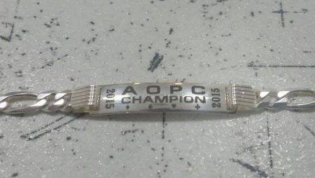 Almaty Online Poker Cup: последний день серии