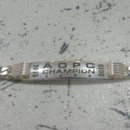 Almaty Online Poker Cup: последний день серии