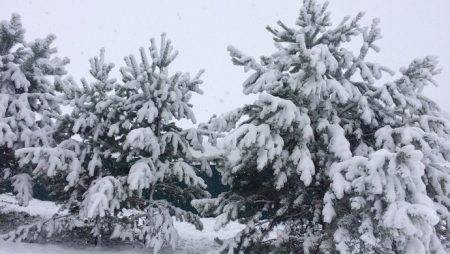 EAPT Russia Алтай: октябрь’16. День 6