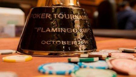 Видео отчет с Flamingo Cup