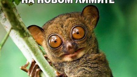 Воскресный покерный юмор. Выпуск #29