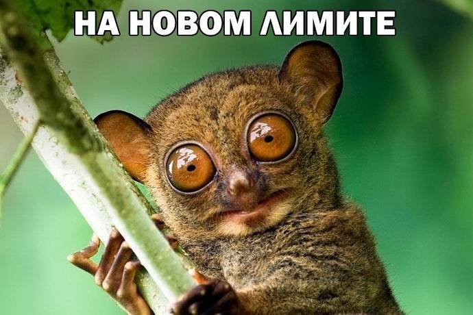 Воскресный покерный юмор. Выпуск #29