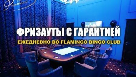 Ежедневные фризауты во «Flamingo»