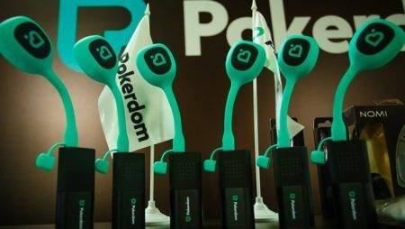 «Кубок независимости», Финальный день. Фотоотчет