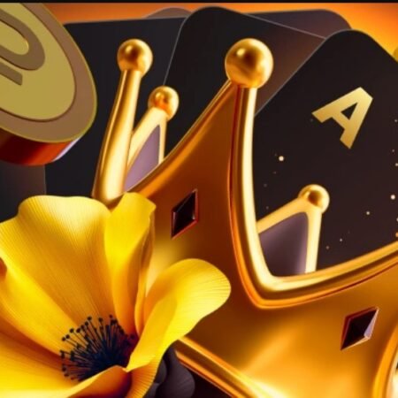 50% бонусного рейкбека и кэшдропы на 1,000,000 руб